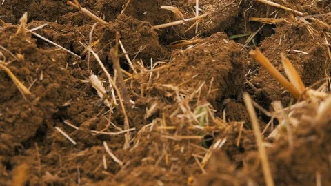 Grain field after disc harrowing Video stock 95392847