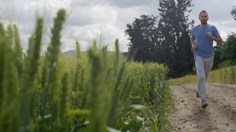 Grain field in foreground while young man runs next to it on a dirt road Stock Footage 107271841