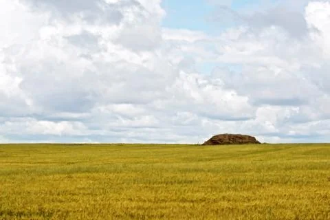 Grain field with haystacks Stock Photos