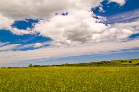 Grain fields, farming landscape Foto stock