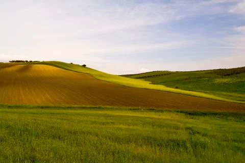 Grain fields, farming landscape Stock Photos