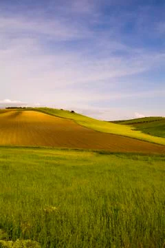 Grain fields, farming landscape Stock Photos