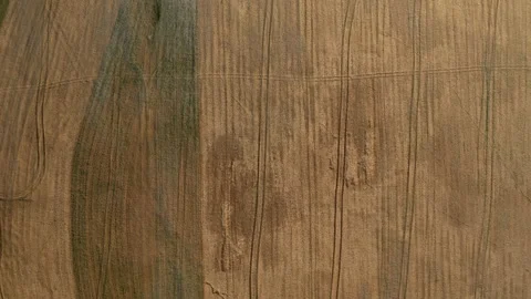 Grain fields Stockbeeldmateriaal 157805191