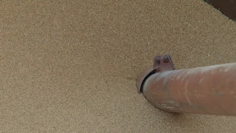 Grain going up to  mill Video stock 70195629