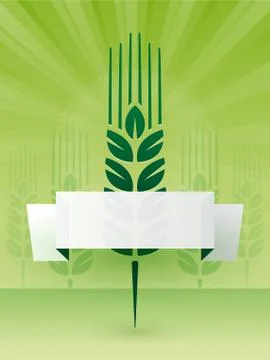 Grain on a green background with label Illustrazione stock