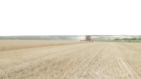 Grain harvest Stock Footage 45940859