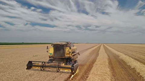 Grain harvest Stock Footage 171566690
