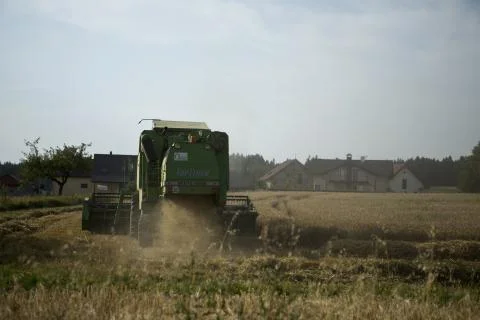 Grain harvest Stock Photos