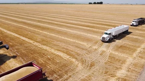Grain Harvest tractor dumps load into truck 库存影片 139835755