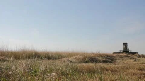 Grain harvester combine Stock Footage 18196284