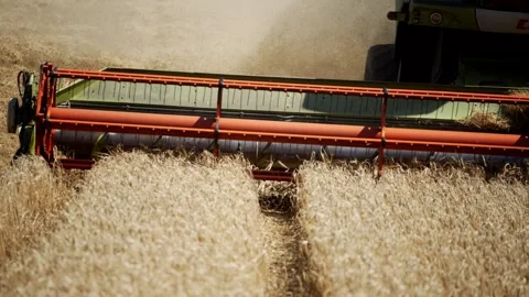 A grain harvester is shown in the foreground of a field Video stock 297949357