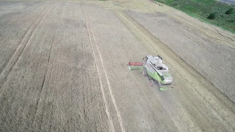 Grain harvesting Stock Footage 101156674
