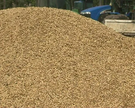 Grain on a heap Video stock 511467