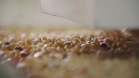 Grain industry Stock Footage 296603720