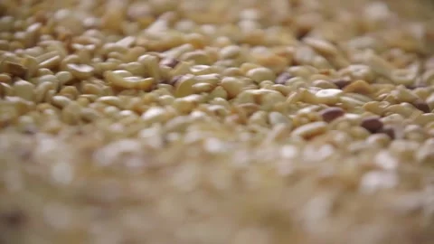 Grain industry Stock Footage 296603721