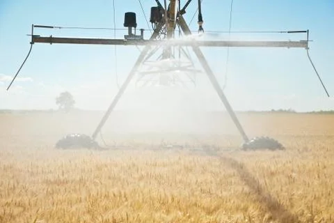 Grain irrigation Stock Photos