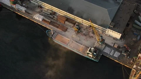 Grain loading in the seaport. Bulk carrier is loaded with bulk cargo. Stock Footage 133750803