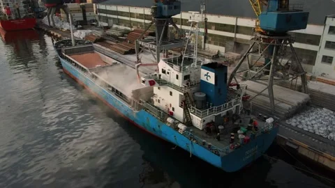Grain loading in the seaport. Bulk carrier is loaded with bulk cargo. Stock Footage 133797148