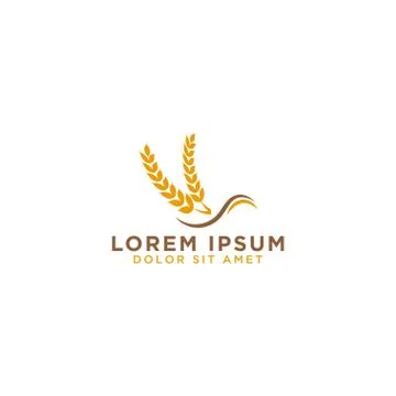 Grain logo design template Illustrazione stock
