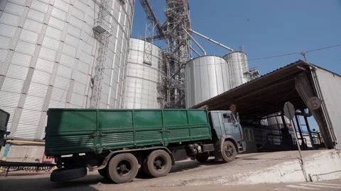 Grain lorry arrives to grain elevator terminal. Dump truck drives to unloader Stock Footage 197332272