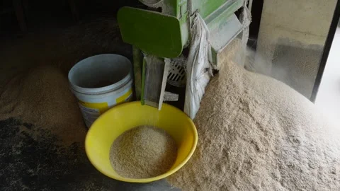Grain Milling Machine Stock Footage 340636697