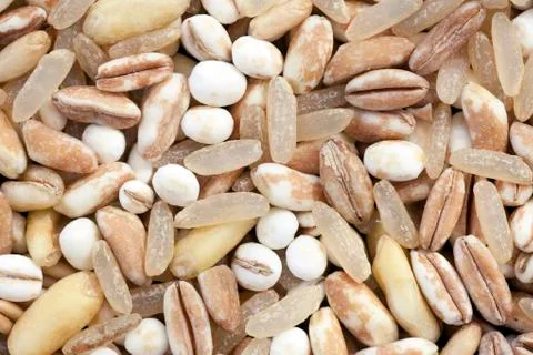 Grain mixture close up Stock Photos
