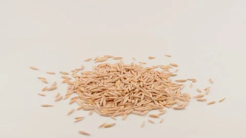 Grain oat closeup on a white background. Video stock 129590935