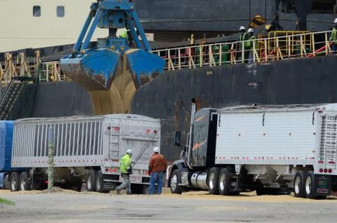 Grain Offload 259 Stock Photos