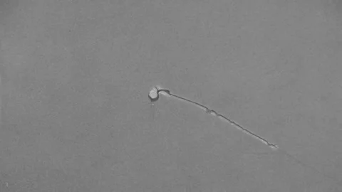 Grain Overlay 01 Stock Footage 274463297