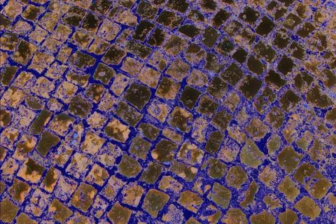 Grain paint wall texture to be used as background Foto stock