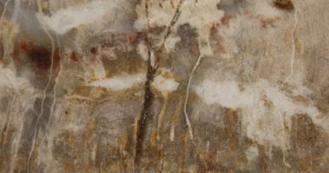 Grain of petrified wood Stock Footage 139758310