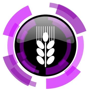 Grain pink violet modern design vector web and smartphone icon. Round button  Stock Illustration