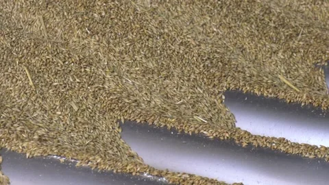 Grain Pit 스톡 동영상 140388840