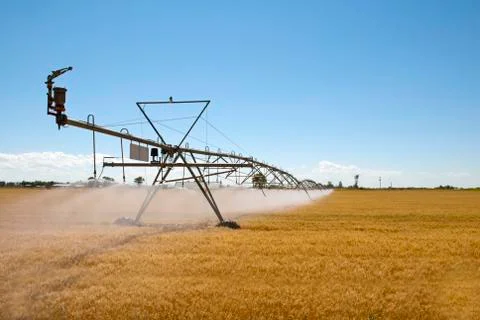 Grain pivot Stock Photos