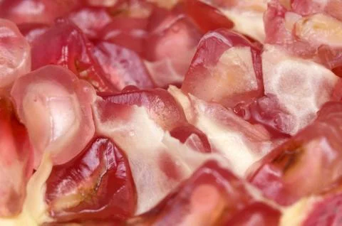 Grain pomegranat Stock Photos