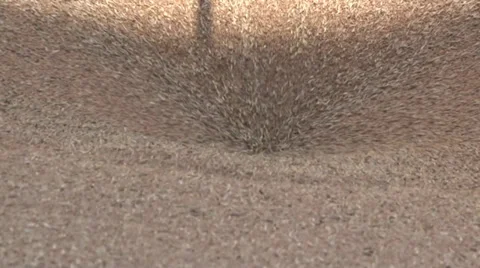 Grain Pouring Stock Footage 35576986