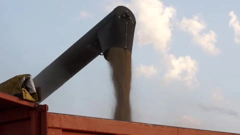Grain pours Stock Footage 265071347