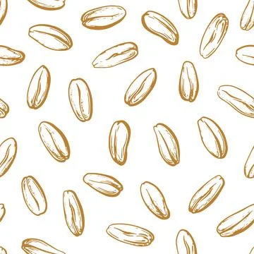 Grain print. Oat, wheat Vector background, rustic Stock Illustration