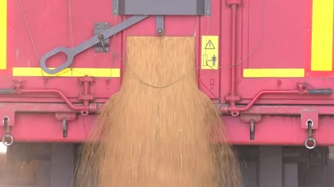 Grain processing concept for cereals Stock Footage 256482907
