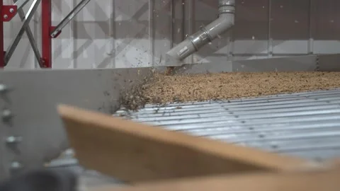 Grain processing factory processing soybeans Stock Footage 274583300