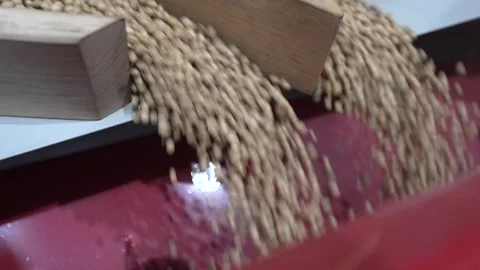 Grain processing factory processing soybeans Stock Footage 274583929