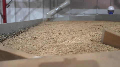 Grain processing factory processing soybeans Stock Footage 274584184