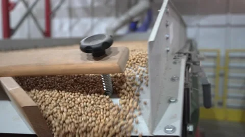 Grain processing factory processing soybeans Stock Footage 274584196