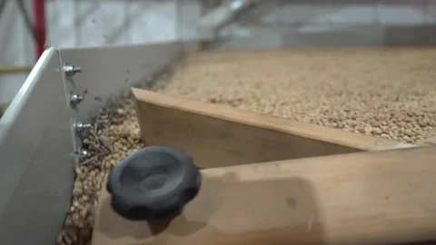 Grain processing factory processing soybeans Stock Footage 274584198