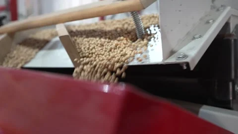 Grain processing factory processing soybeans Stock Footage 274584599