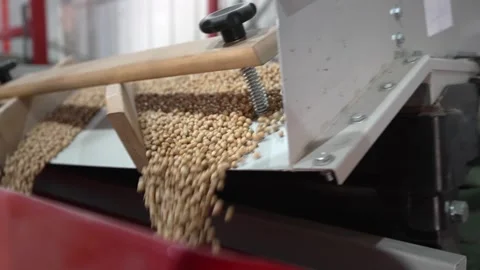 Grain processing factory processing soybeans Stock Footage 274584700