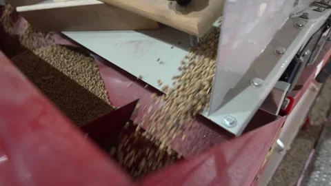 Grain processing factory processing soybeans Stock Footage 274585492