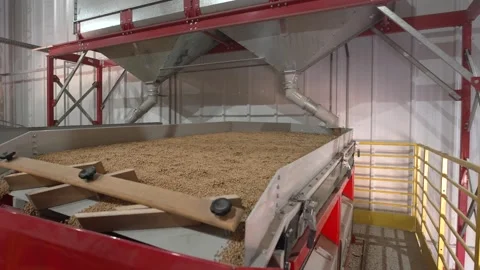 Grain processing factory processing soybeans Stock Footage 274585545