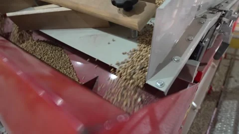 Grain processing factory processing soybeans Stock Footage 274585646