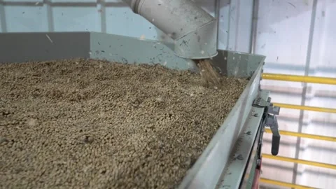 Grain processing factory processing soybeans Stock Footage 274586357